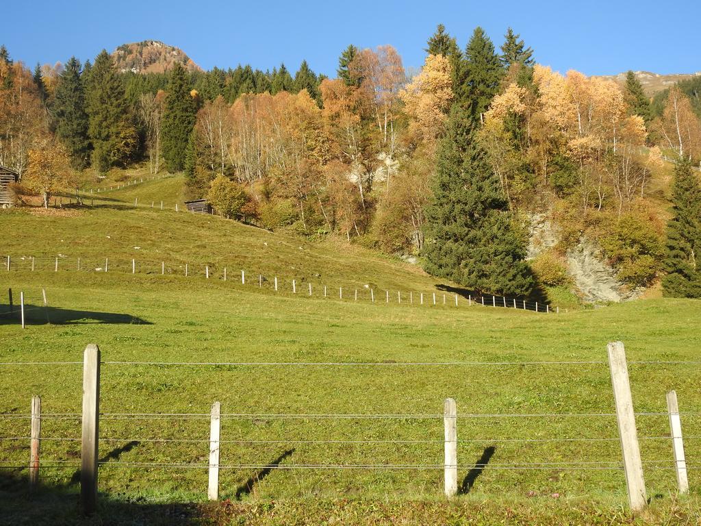 Ferienwohnung Haslinggut Bad Hofgastein Exterior foto